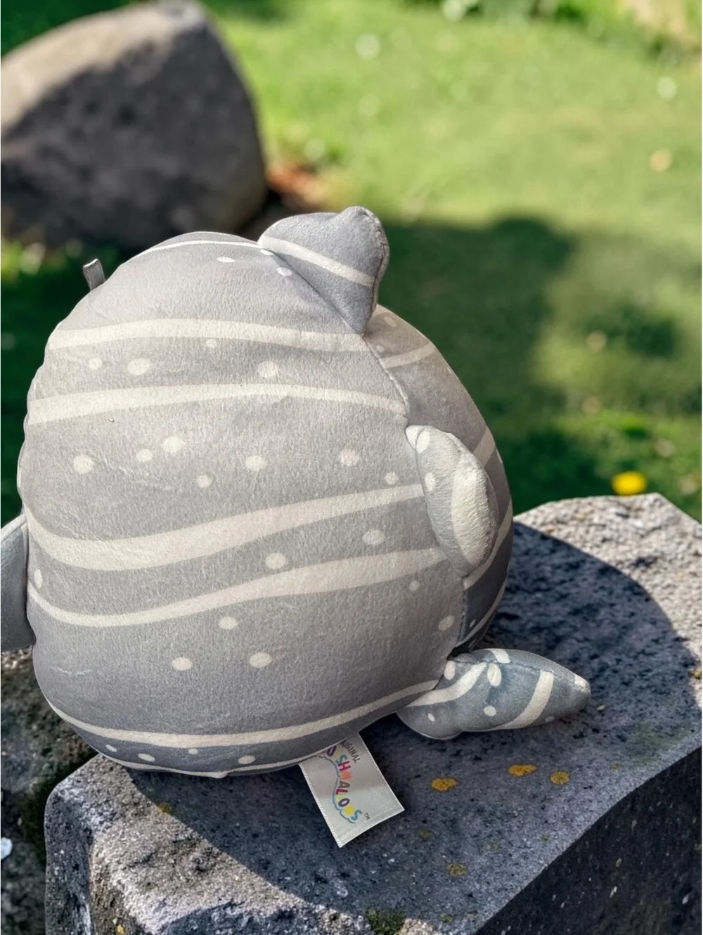 Squishmallows Sachie the Whale Shark Gray Striped Sparkle Plush Kellytoy